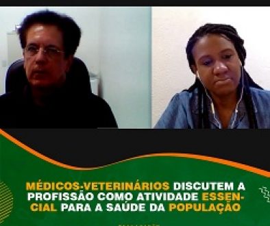 Webinar Dia 2 site