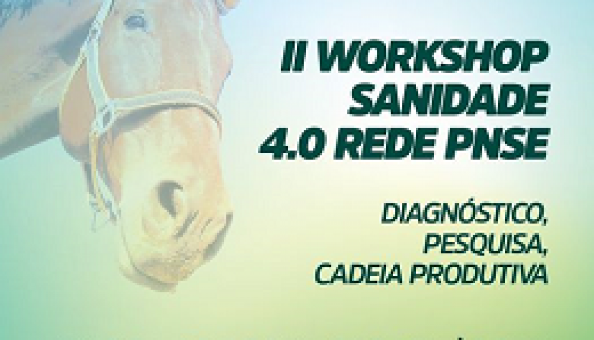 rede pnse 1. 24a 26 nov2020, 300