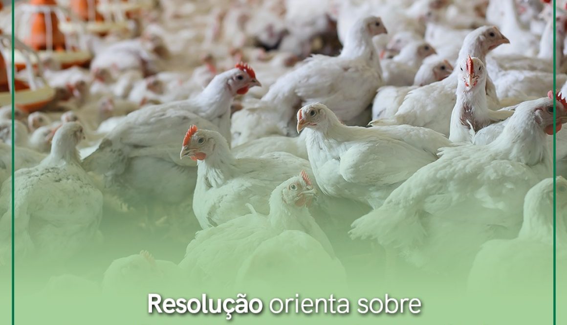 Resolução Influenza Aviária
