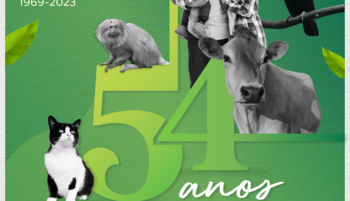 CRMV-BA_54-anos_Card (1) CRMV-BA_54-anos_Card (1)