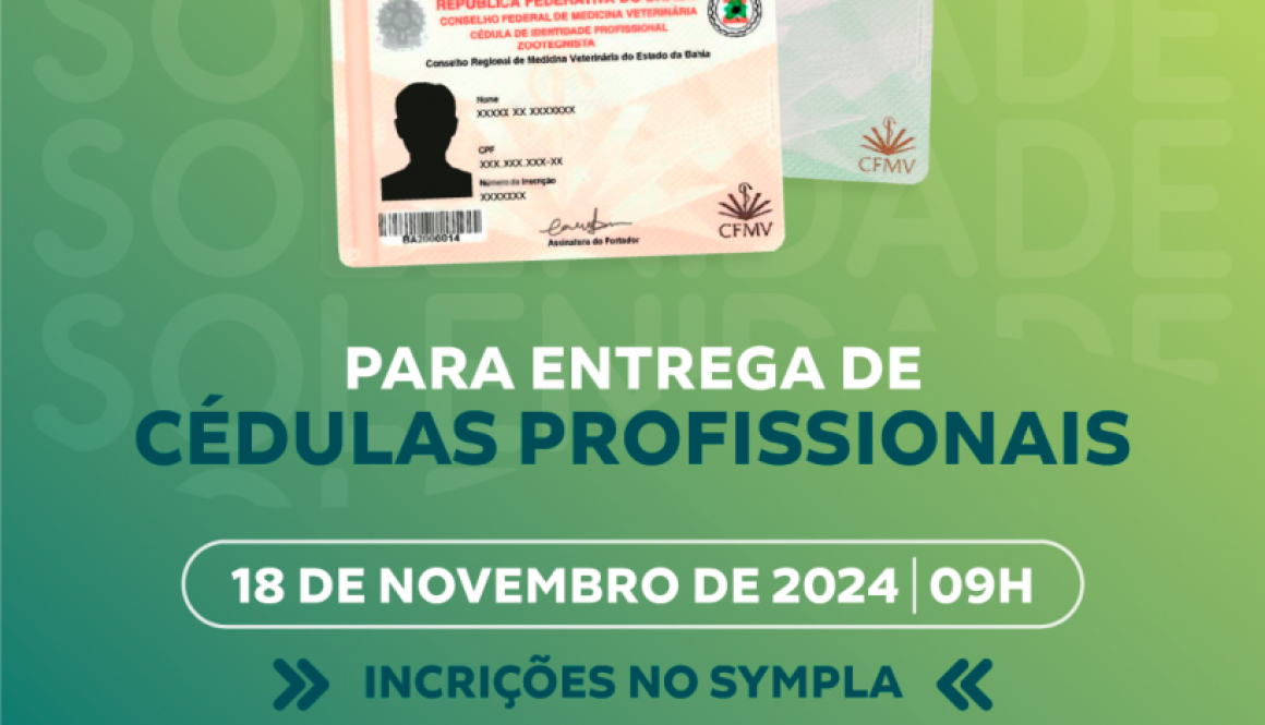 Solenidade-Virtual-novembro-2024_SITE