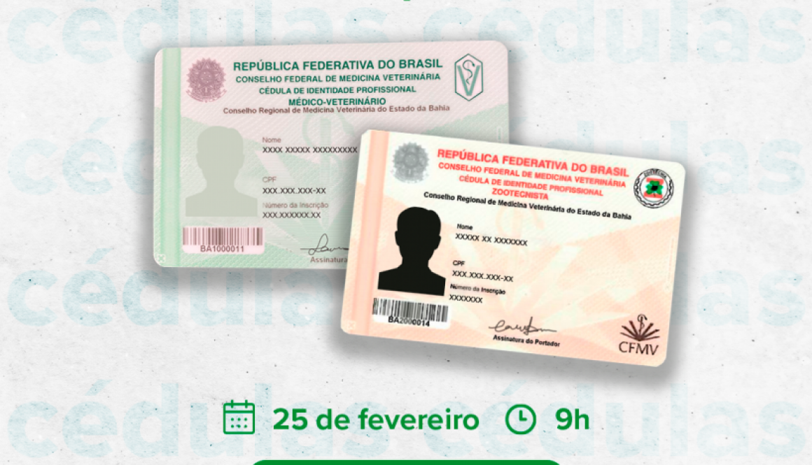 [Solenidade] cédulas 25FEV_FEED e PORTAL