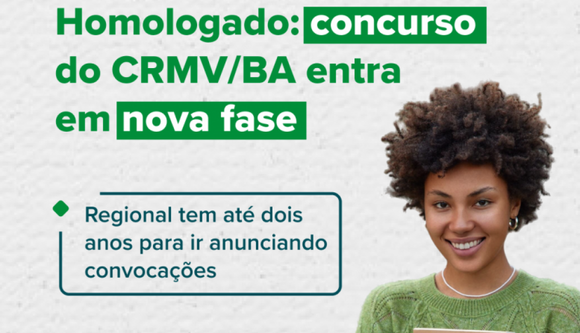 homologado.Feed