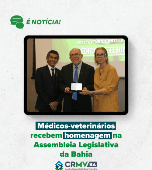 ato solene homenagem alba medvets 2025