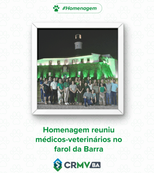 _homenagem farol da barra 9092025 medvet crmvba