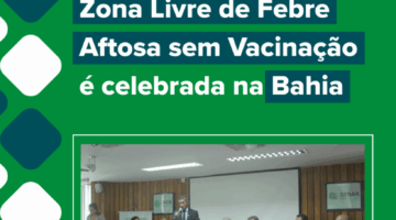 [FEED] AFTOSA - EVENTO