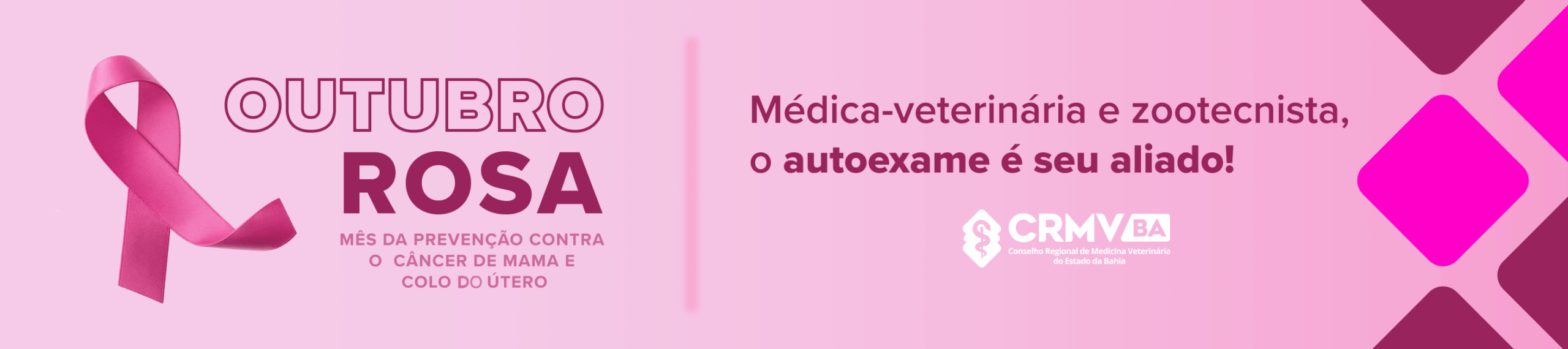 banner out rosa crmvba banner out rosa crmvba