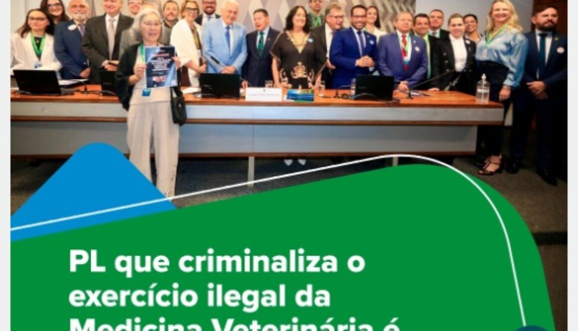 PL apov.exerc. ilegal.13maio2025