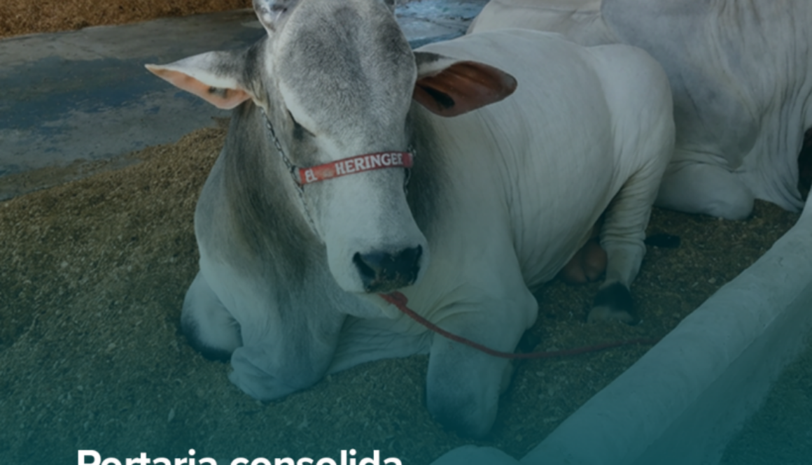 portaria 56 adab, feed