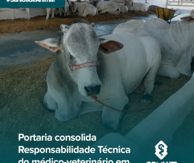 portaria 56 adab, feed